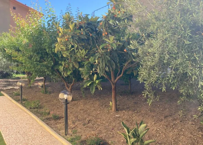 Appartement Il Giardino Villamassargia